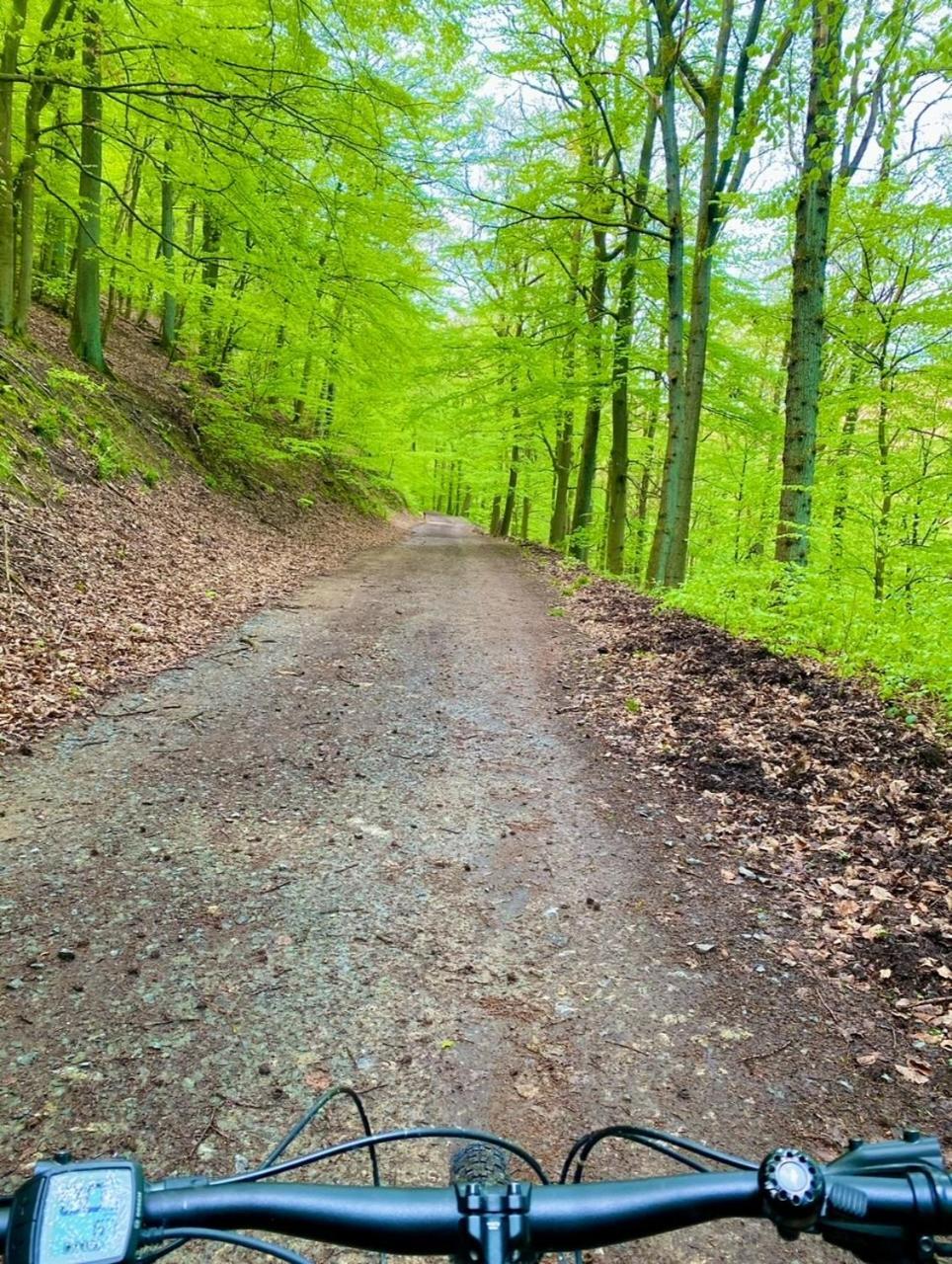 Exklusiver Rueckzugsort Mit Sauna In Der Natur! Nachrodt-Wiblingwerde Exterior photo